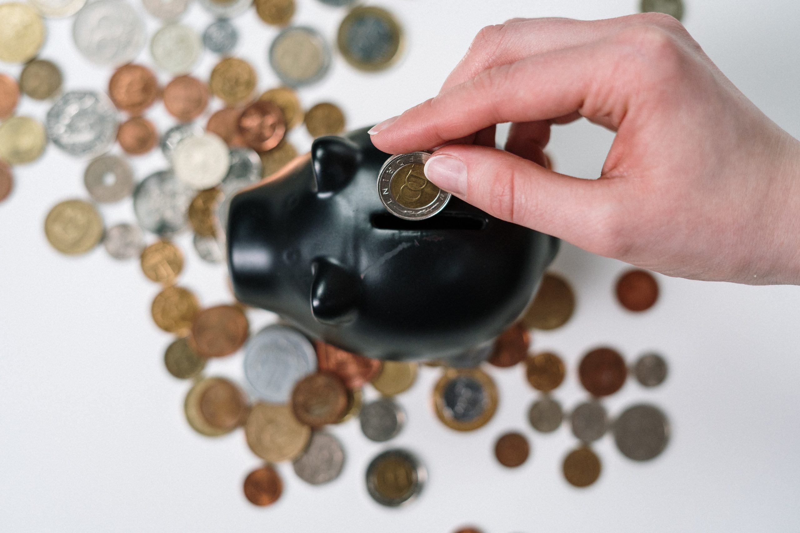 Endowment Fund